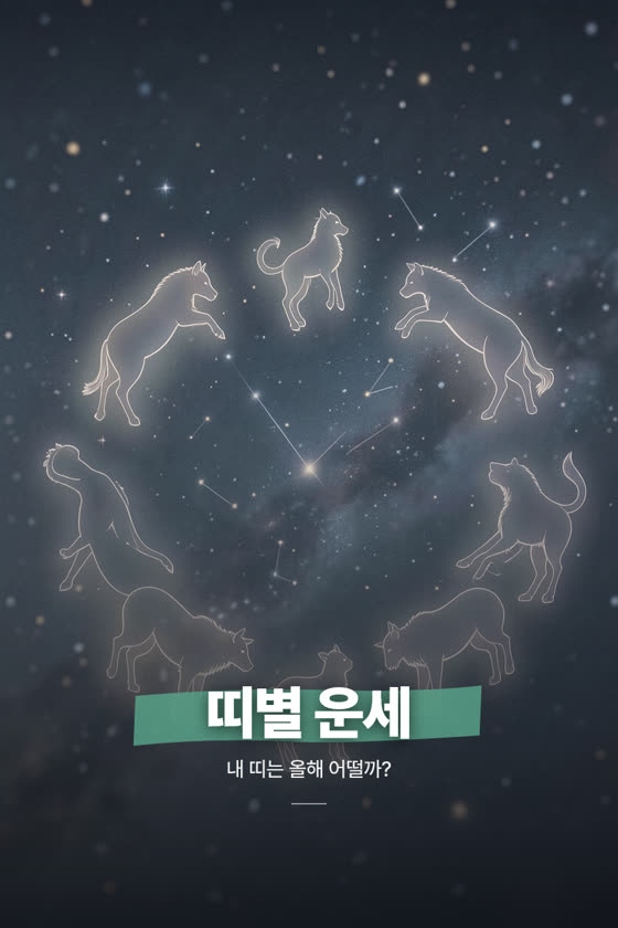 띠별 운세
